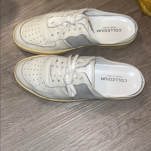 Collegium - Picture 3 of 8